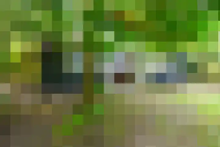 Bierweg 14 Blaricum thumbnail 31