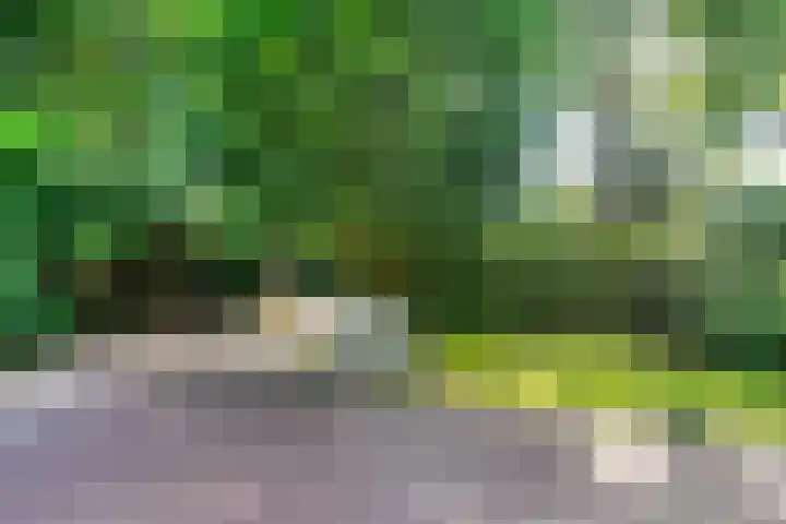 Bierweg 14 Blaricum thumbnail 35