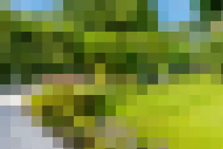 Bierweg 14 Blaricum thumbnail 37