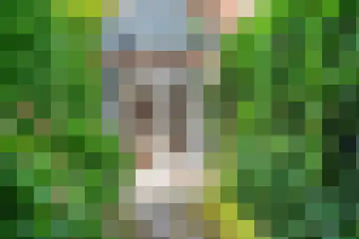 Bierweg 14 Blaricum thumbnail 41