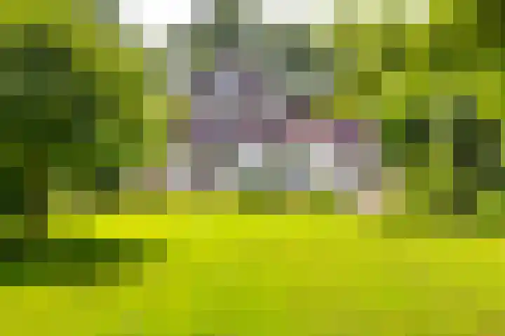 Bierweg 14 Blaricum thumbnail 51