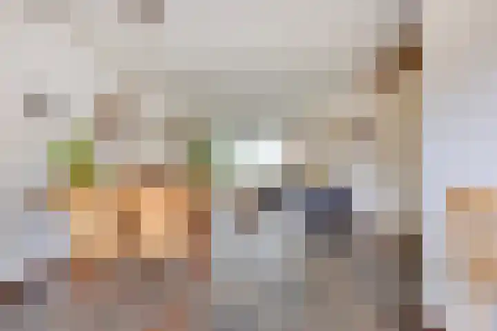 Biesakkers 6 Goirle thumbnail 10