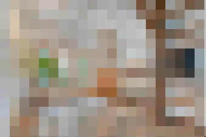 Biesakkers 6 Goirle thumbnail 11