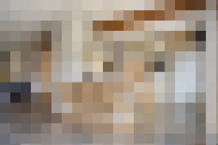 Biesakkers 6 Goirle thumbnail 12