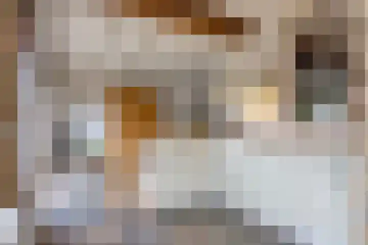 Biesakkers 6 Goirle thumbnail 14