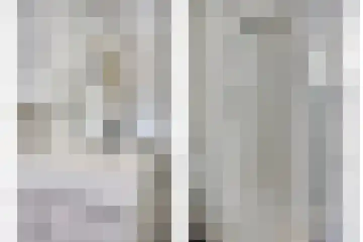 Biesakkers 6 Goirle thumbnail 18