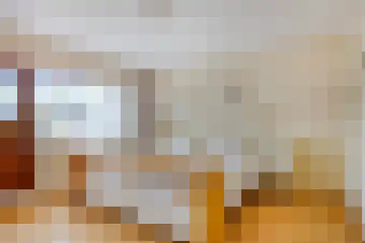 Biesakkers 6 Goirle thumbnail 19