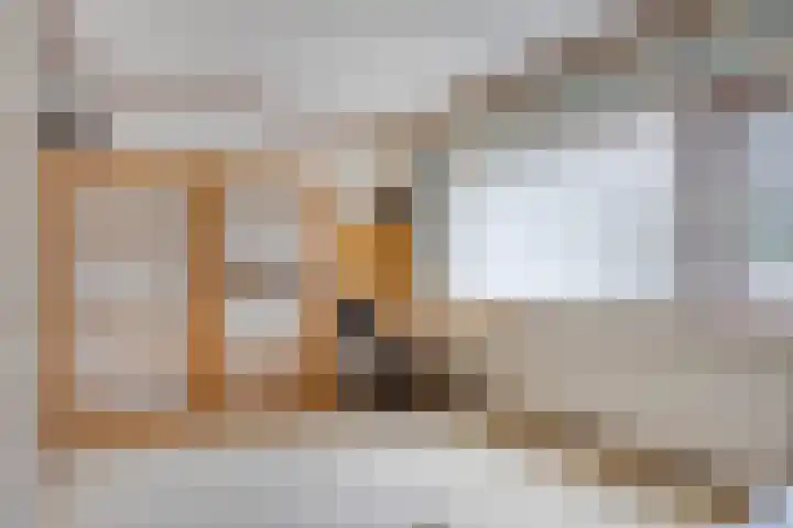 Biesakkers 6 Goirle thumbnail 21