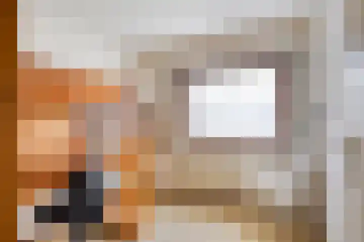 Biesakkers 6 Goirle thumbnail 23