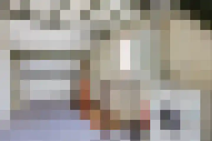Biesakkers 6 Goirle thumbnail 25