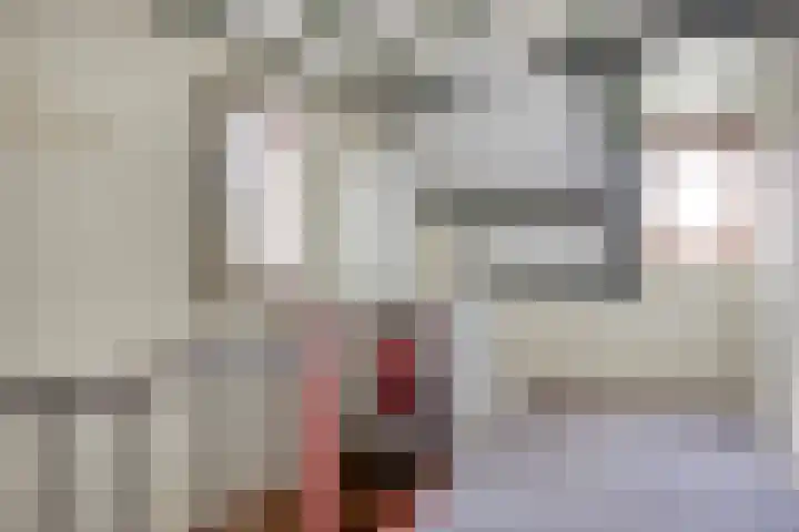 Biesakkers 6 Goirle thumbnail 26