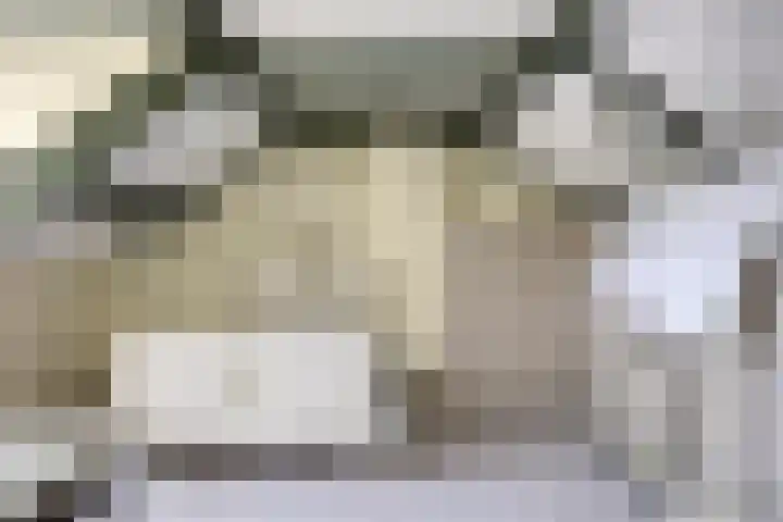 Biesakkers 6 Goirle thumbnail 27