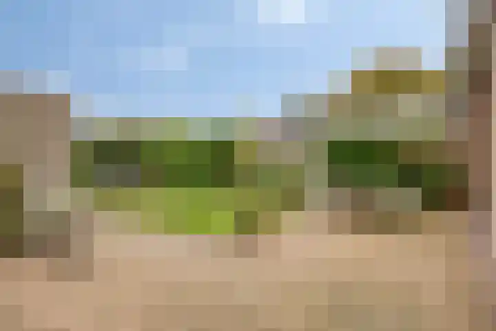 Biesakkers 6 Goirle thumbnail 29
