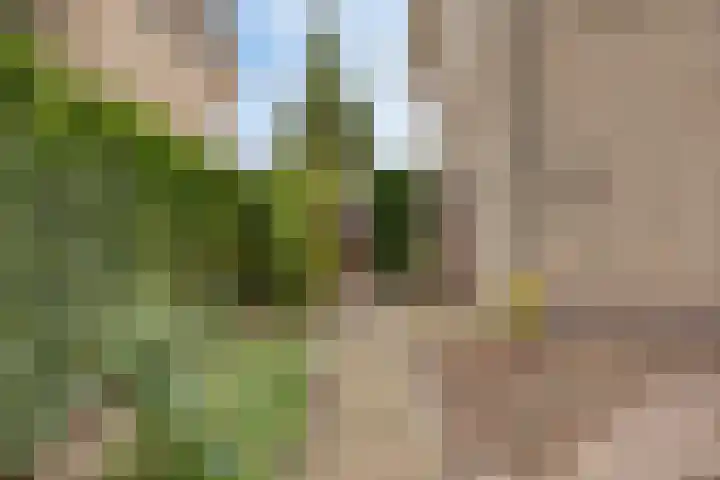 Biesakkers 6 Goirle foto 3