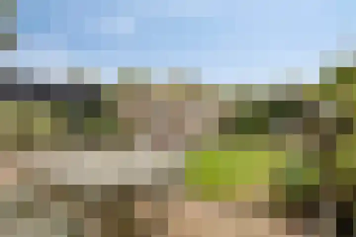 Biesakkers 6 Goirle thumbnail 30