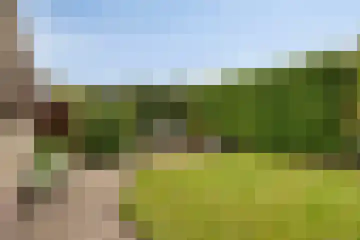 Biesakkers 6 Goirle thumbnail 31