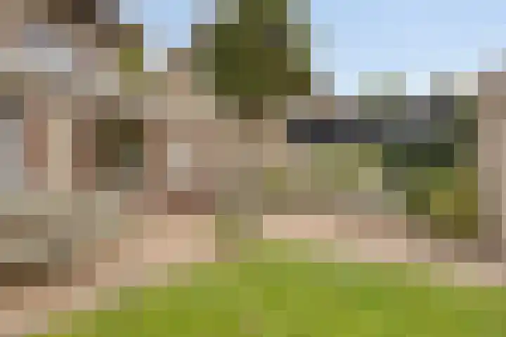 Biesakkers 6 Goirle thumbnail 32