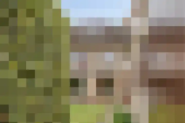 Biesakkers 6 Goirle thumbnail 34