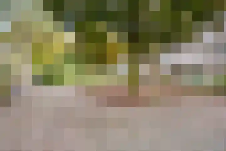 Biesakkers 6 Goirle thumbnail 38