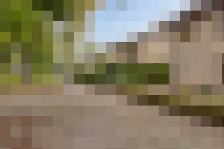Biesakkers 6 Goirle thumbnail 39