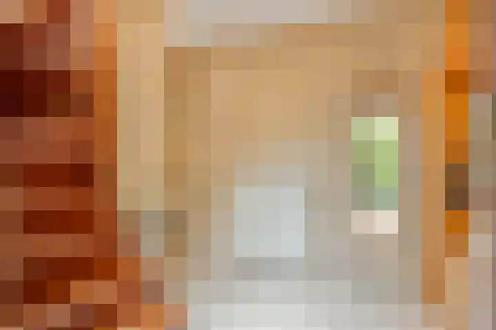 Biesakkers 6 Goirle thumbnail 4