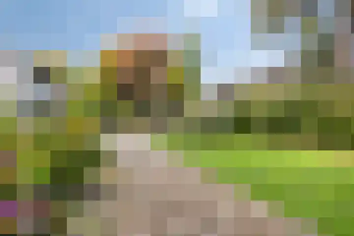 Biesakkers 6 Goirle thumbnail 40