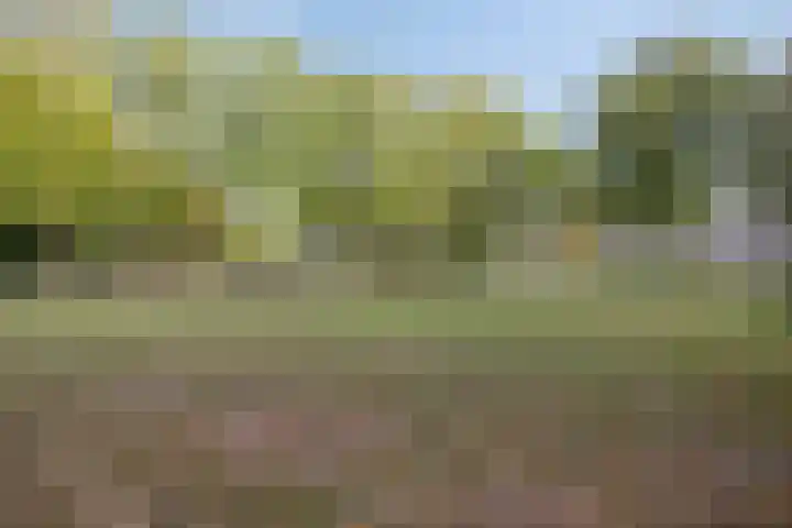 Biesakkers 6 Goirle thumbnail 41