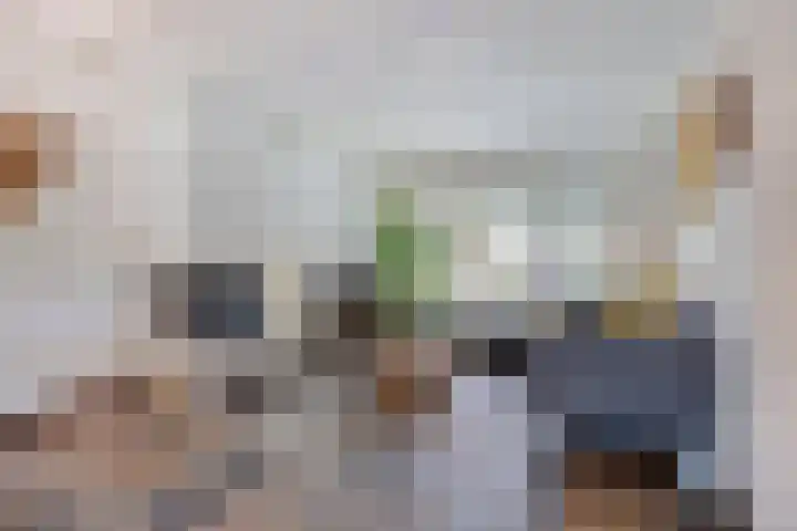 Biesakkers 6 Goirle thumbnail 5