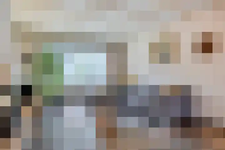 Biesakkers 6 Goirle thumbnail 6