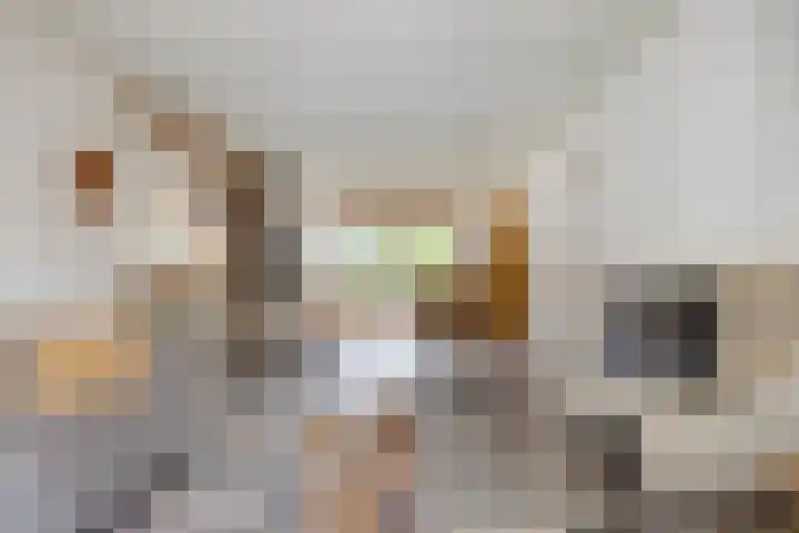Biesakkers 6 Goirle thumbnail 7