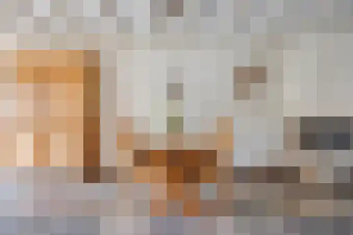 Biesakkers 6 Goirle thumbnail 9