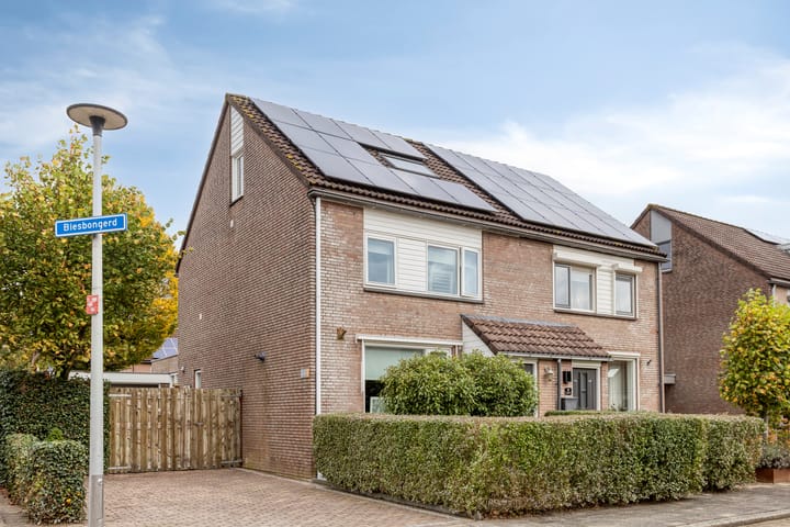 Biesbongerd 24 in Kesteren foto