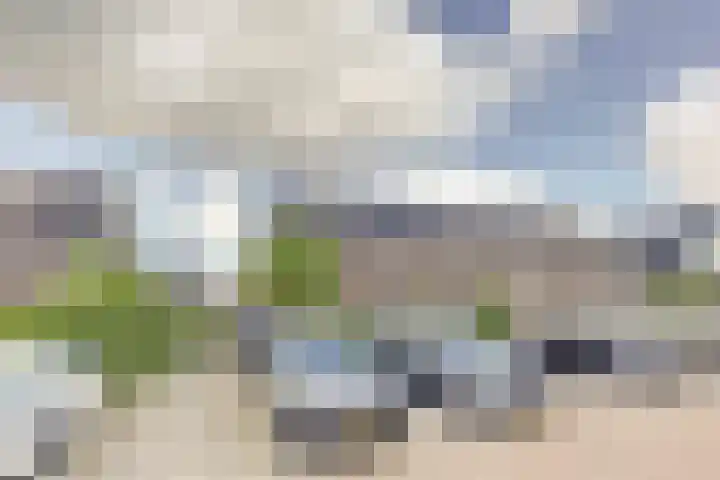 Biesbosch 19 Zeewolde thumbnail 31
