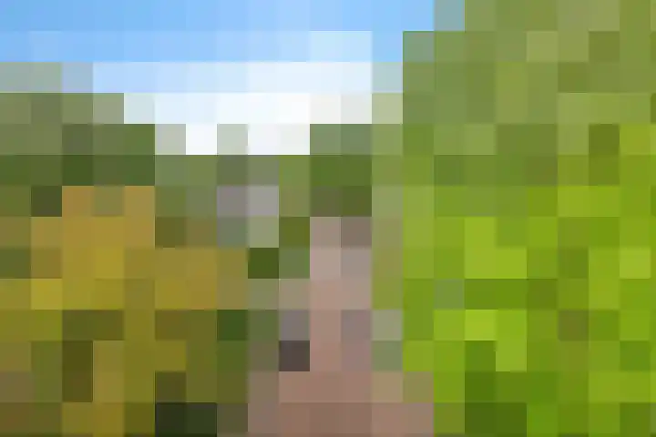 Biesbosch 203 Amstelveen thumbnail 25