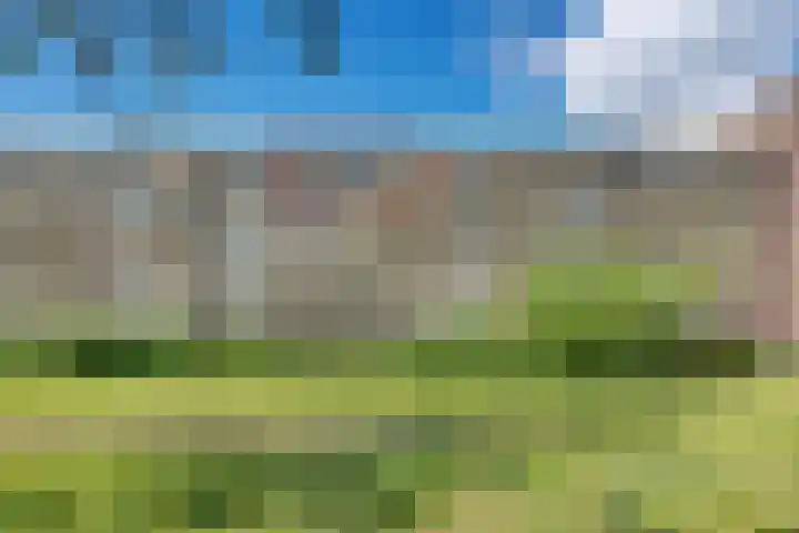 Biesbosch 203 Amstelveen thumbnail 29