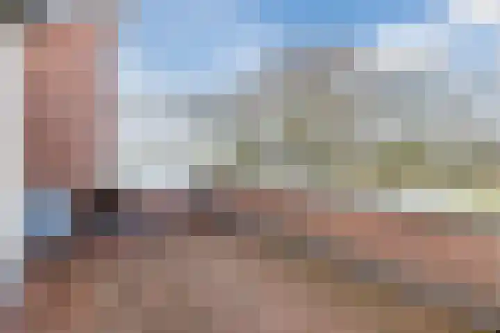 Biesbosch 27 Hoogeveen thumbnail 46