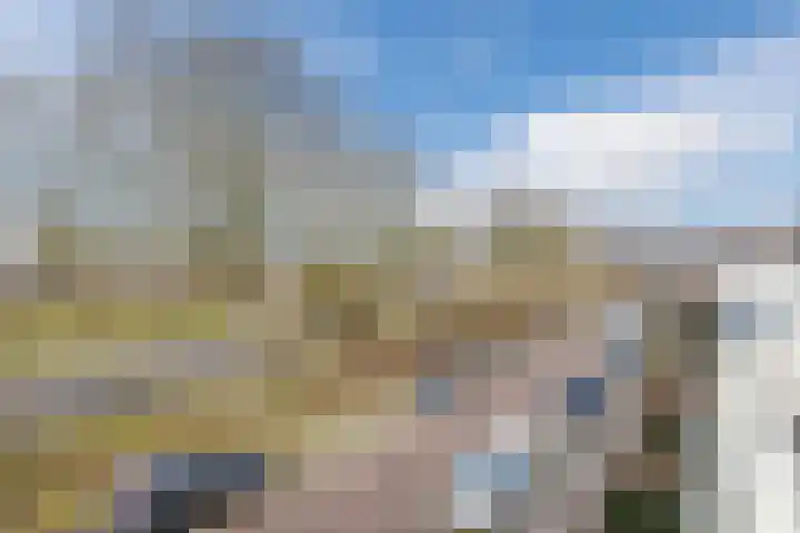 Biesbosch 27 Hoogeveen thumbnail 49