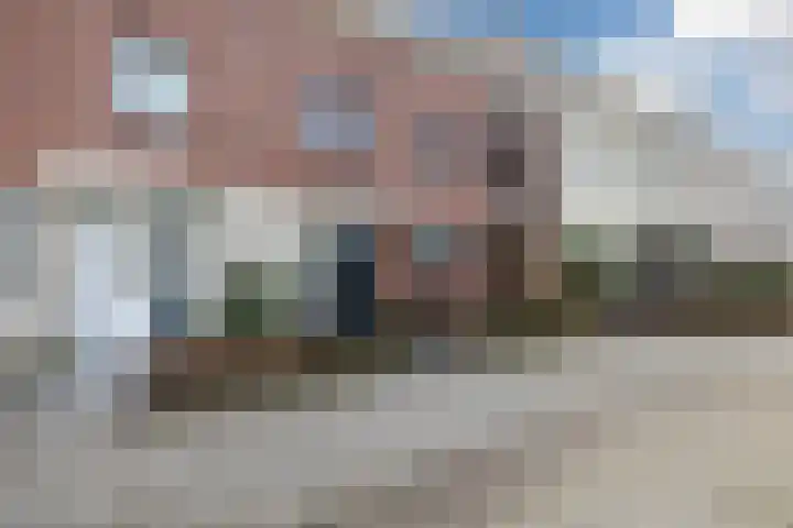 Biesbosch 27 Hoogeveen thumbnail 5