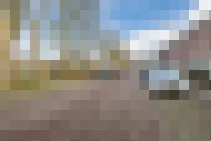 Biesbosch 27 Hoogeveen thumbnail 63