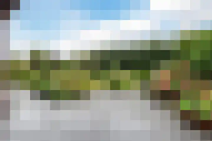Biesbosch 5 Zeewolde thumbnail 41