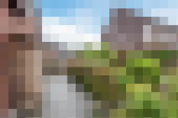 Biesbosch 5 Zeewolde thumbnail 42