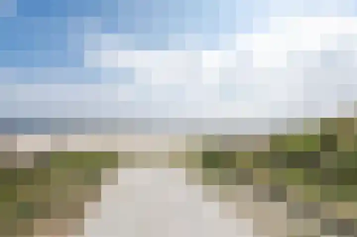 Biesbosch 5 Zeewolde thumbnail 47