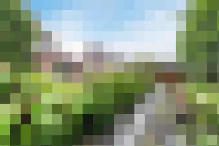 Biesbosch 5 Zeewolde thumbnail 7