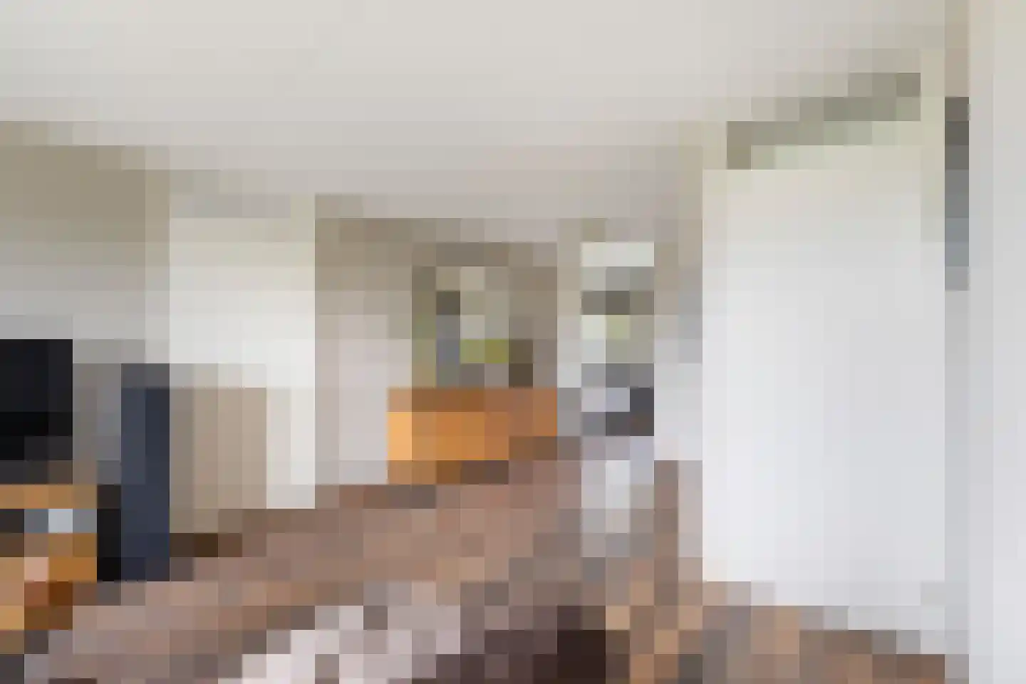 Biesboschlaan 84 Hank thumbnail 12