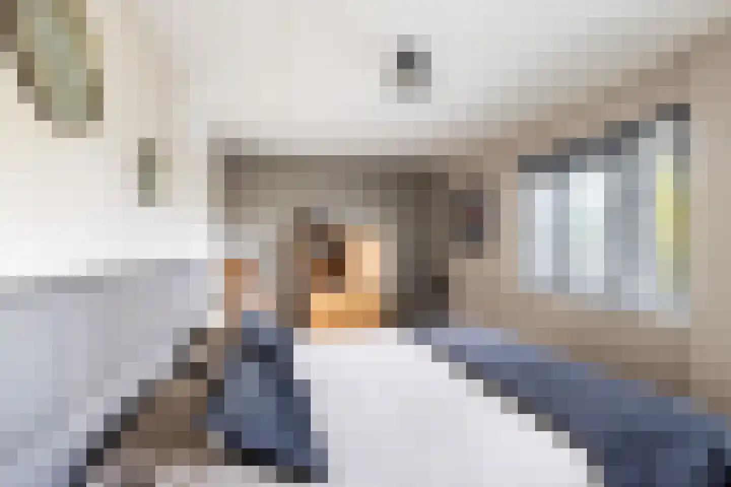 Biesboschlaan 84 Hank thumbnail 16