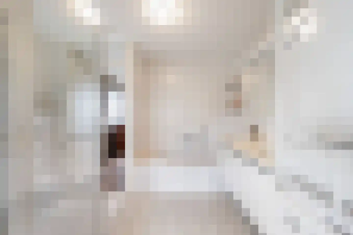 Biesboschlaan 84 Hank thumbnail 23