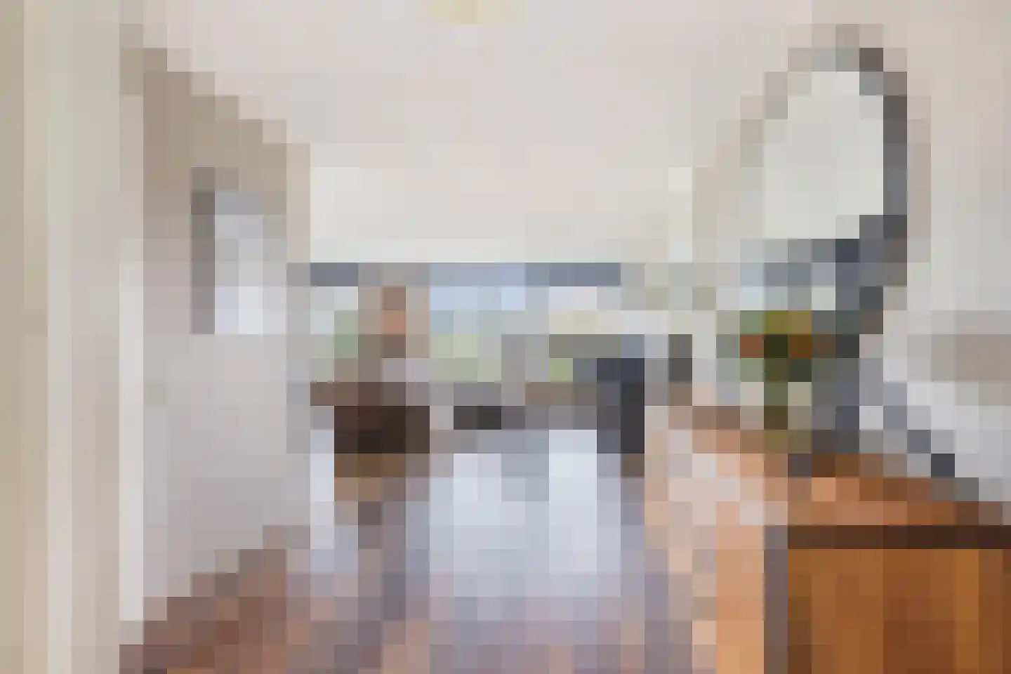 Biesboschlaan 84 Hank thumbnail 8