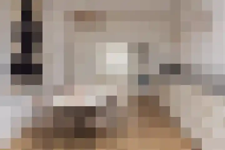 Biesboschstraat 11 1 Amsterdam thumbnail 9