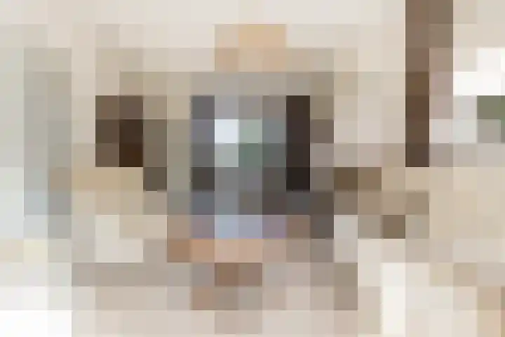 Biesboschstraat 16 Nieuwendijk thumbnail 16