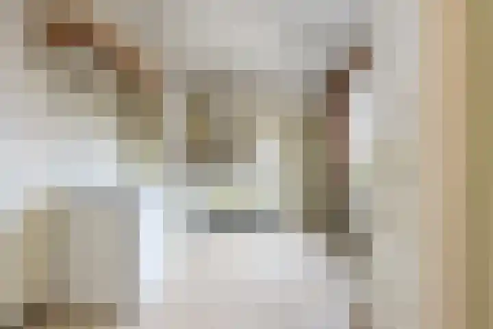 Biesboschstraat 16 Nieuwendijk thumbnail 18